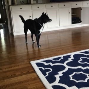 Meet your Posher, Erika